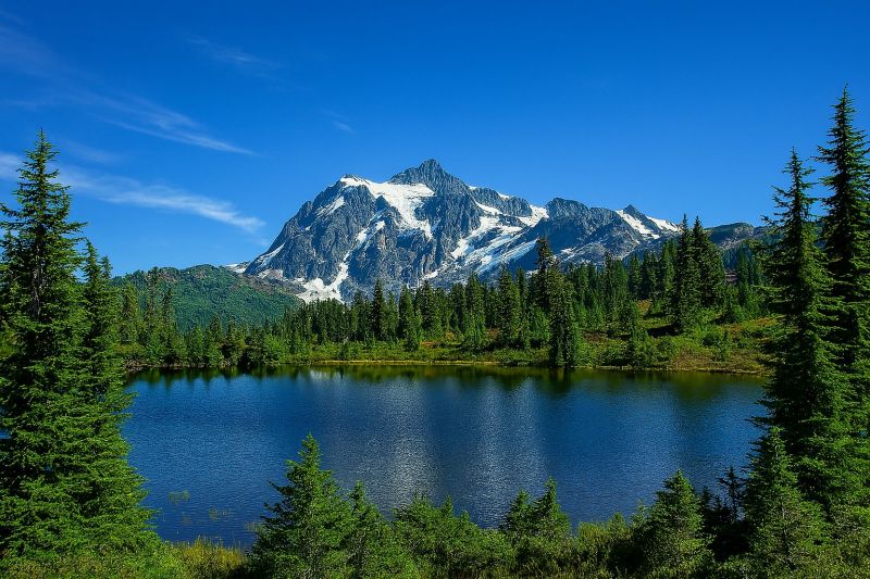 Best Bathroom Remodeling pros in Shelton, WA